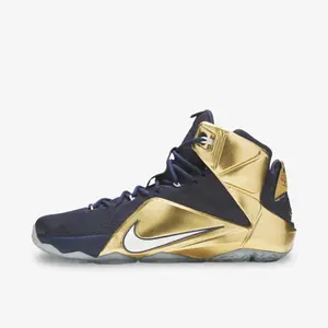 *SAMPLE* Nike LeBron 12 PE 'Akron' (2014)