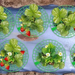 6-Piece Strawberry Plant Stand with 3 Sturdy Legs, Durable Fruit Support for Potted Strawberries, Anti-Rotting Design