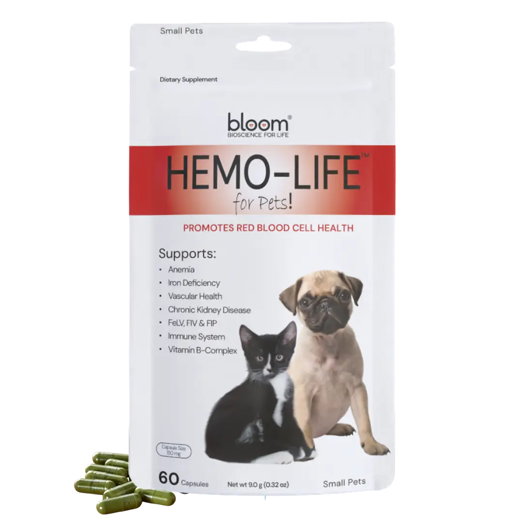 Bloom Hemo-Life for Pets - Multi-Ingredient Supplement for Anemia, Iron Deficiency, Immune System & Red Blood Cell Health - 60 Capsules