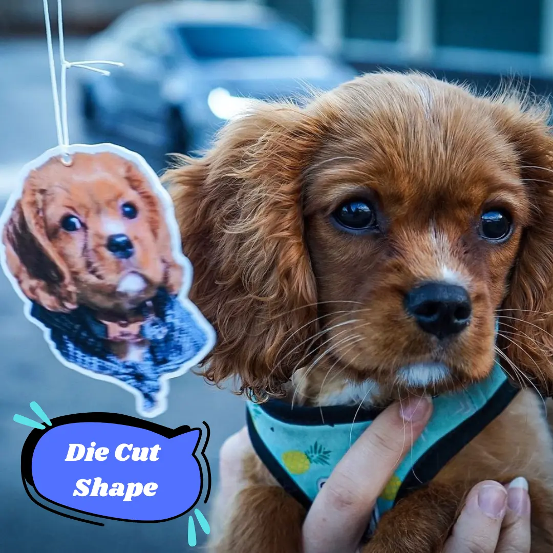 Personalized Photo Air Freshener - Custom Cut Vanilla Coffee Scented Car Freshener for Boyfriend Girlfriend Husband Wife Women Decor Accessories