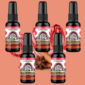 Cinnamon Spray Air Freshener Bundle (5 Pack)