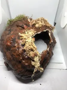 Arboreal Attitudes Large Reptile Weighted Ground Hides For Terrariums