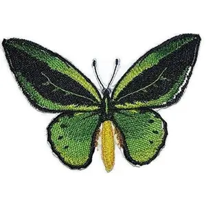 Custom and Unique Amazing Colorful Butterflies [ Common Green Birdwing ] Embroidered Iron On/Sew Patch (4.2" x 2.67") Made in USA]