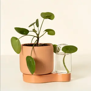 Self-Watering Garden Planter with Integrated Propagation Station, Indoor-Outdoor Plant Care Tool, Home Improvement Garden Supply