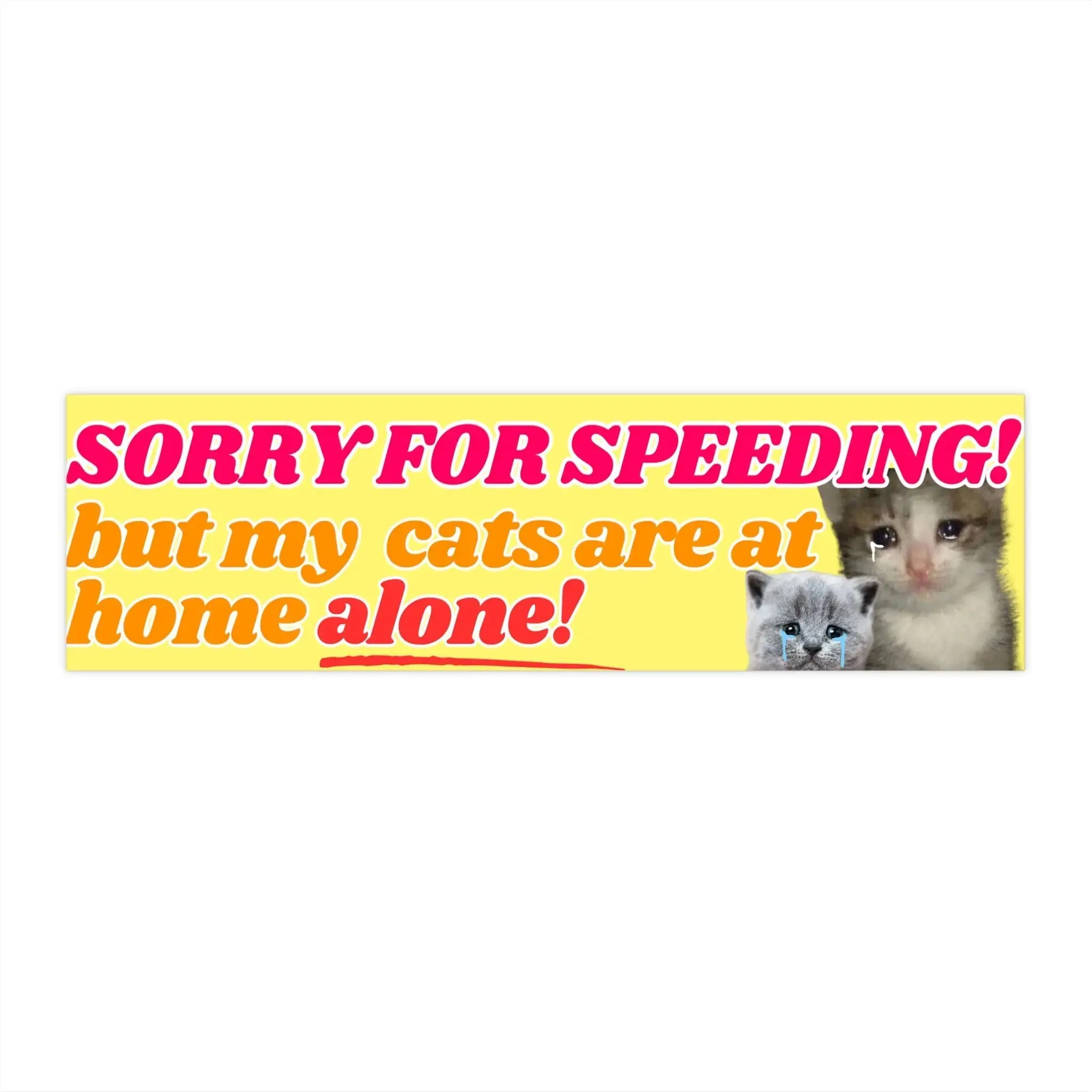 Humorous Car Sticker Deco - "Sorry for Speeding! My Cats Are Home Alone" Design, 8.5x2.5" Frog Mustard Glossy Waterproof Vinyl Decals, Premium Automotive Exterior Accessory Letter Decals Car Stickers Option or Magnet
