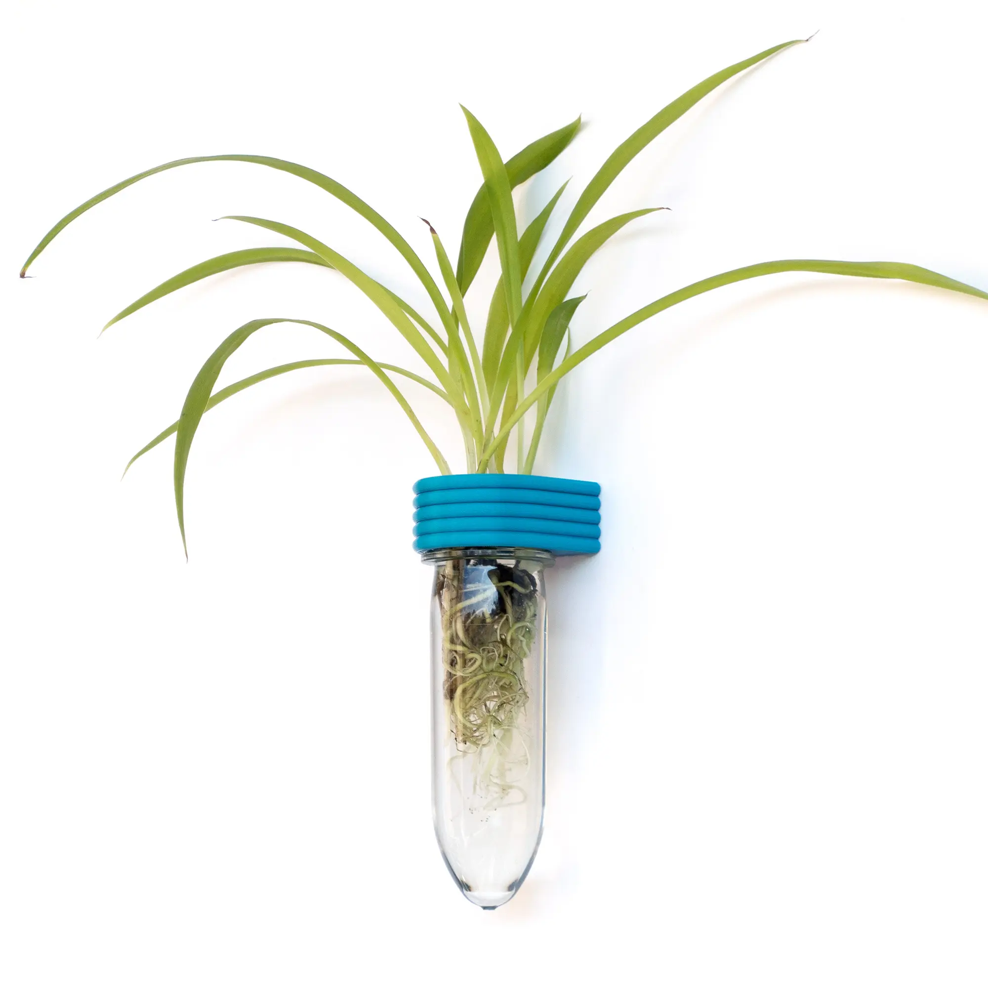 Roota Planters Upcycled Plant Propagation Tube 5.3", Wall & Fridge Mounted Indoor Planter for Cuttings, 3D Printed Eco-Friendly Small Space Decor