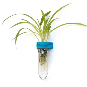 Roota Planters Upcycled Plant Propagation Tube 5.3", Wall & Fridge Mounted Indoor Planter for Cuttings, 3D Printed Eco-Friendly Small Space Decor