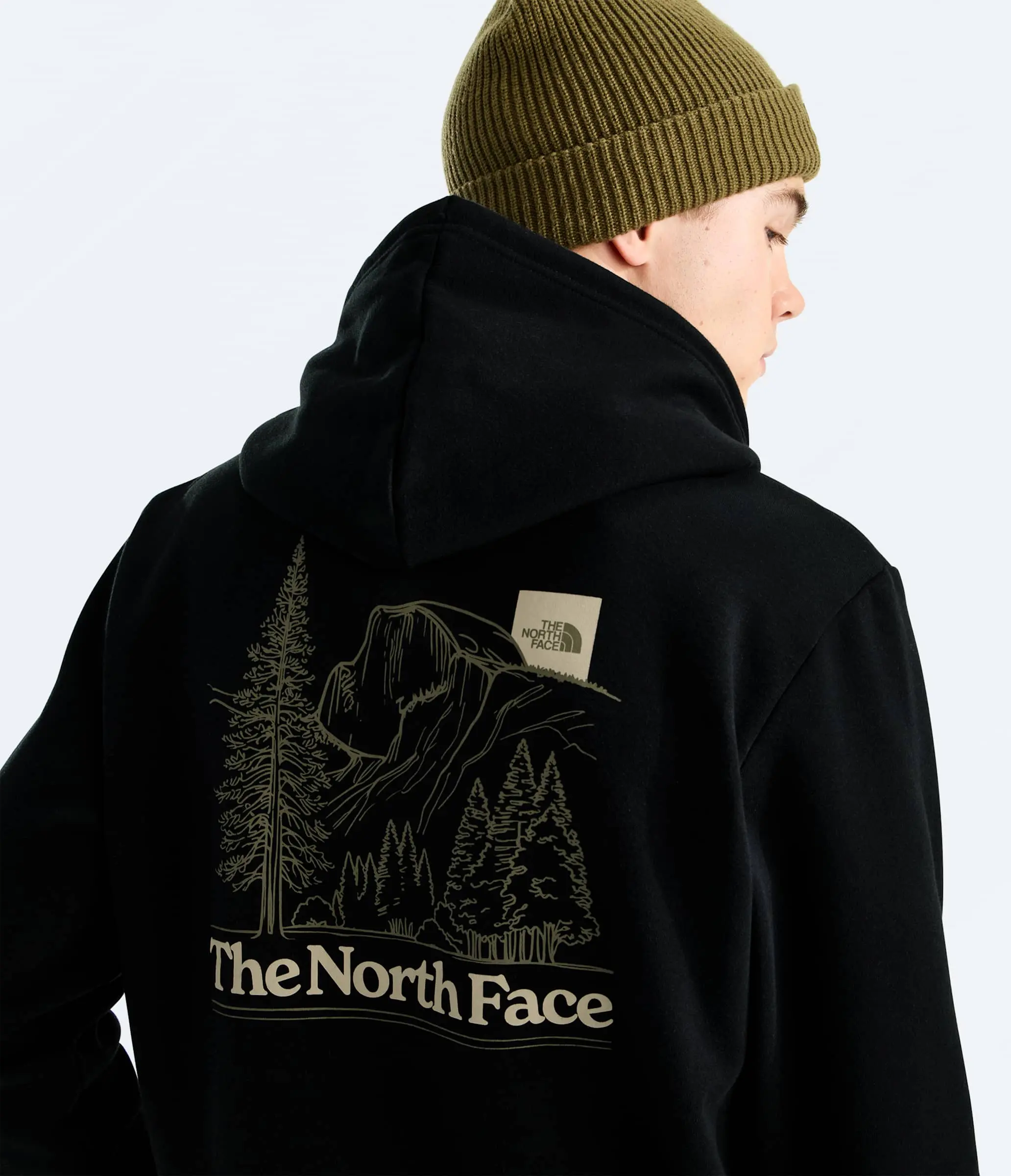The North Face Men's Evolution Monte Regular Hoodie The North Face Men's Evolution Monte Regular Hoodie