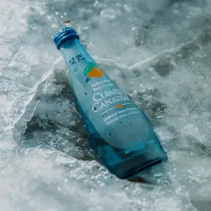 2 pack Clearly Canadian Sparkling Flavored Water (Orchard Peach, 2 Pack) Mountain Blackberry