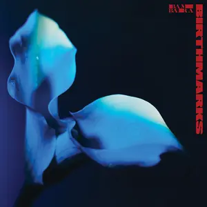 Bambara - Birthmarks  [VINYL RECORD - LP] Clear Vinyl