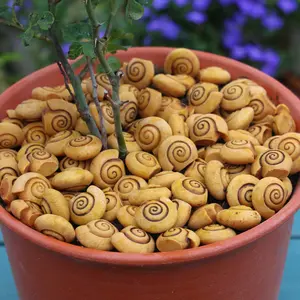 20 Unique Snail Shell Resin Decorative Stones, Suitable for Fish Tank, Pond, Plant Pot Decoration, Aquarium Theme, Sand Bottom Decor
