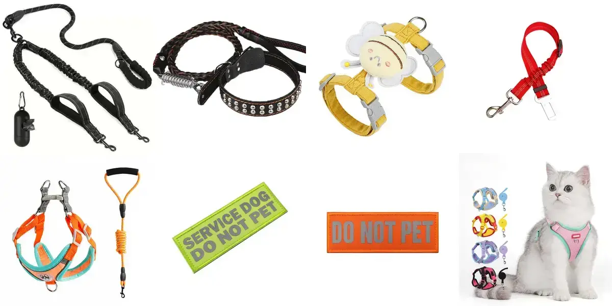 background preload poster image 