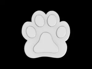 Paw Print Mold