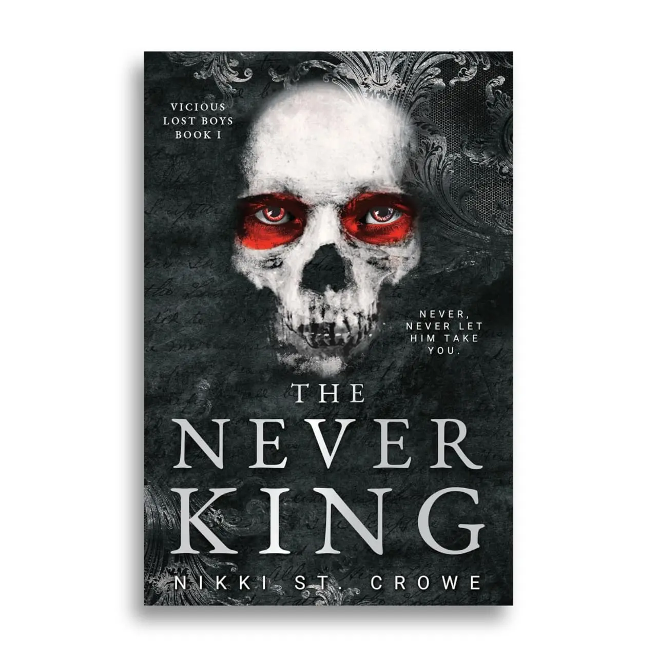 The Never King - Vicious Lost Boys, 1: Dark Romance Novel (Literature & Art)