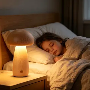 2026birthday party gift Mushroom Shaped LED Table Lamp, USB Rechargeable Touch Control Bedside Light, Creative Mushroom Desk Lamp for Bedroom, Living Room, Home Decor