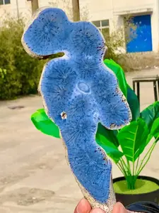 1pc Rare Blue Coral Jasper Slice Mineral Specimen - Bohemian Style Loose Faux Gemstone with Marine Life Design, Marine Organism Patterns, Home Ornament, Decorative Item