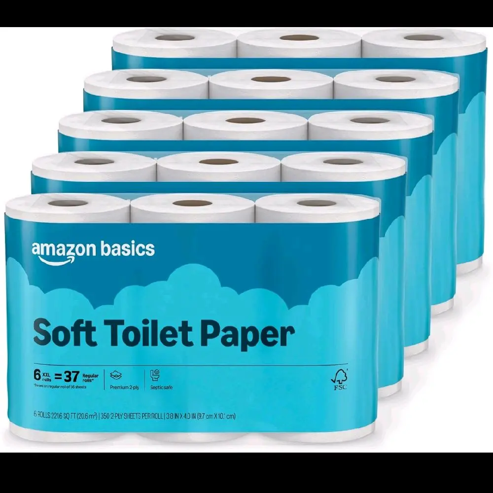 paper toilet paper toilet