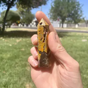 Bumblebee Jasper Point