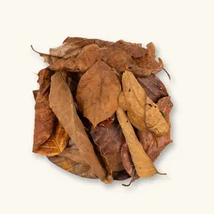 Peruvian Palta Leaf Litter by Betta Botanicals for Dart Frog Vivariums & Blackwater Aquariums