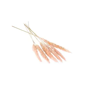 Slim Dried Pampas Grass - Pink - Pack of 6