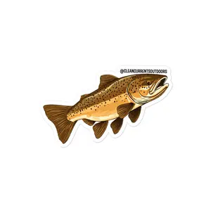 Brown Trout Sticker
