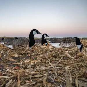 S3Fi Canada Goose Socks