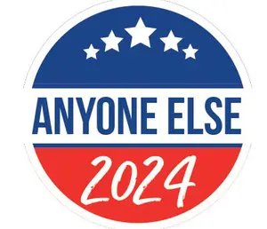 1" Permanent "Anyone Else 2024" Voting Sticker Pack, 240/Pack