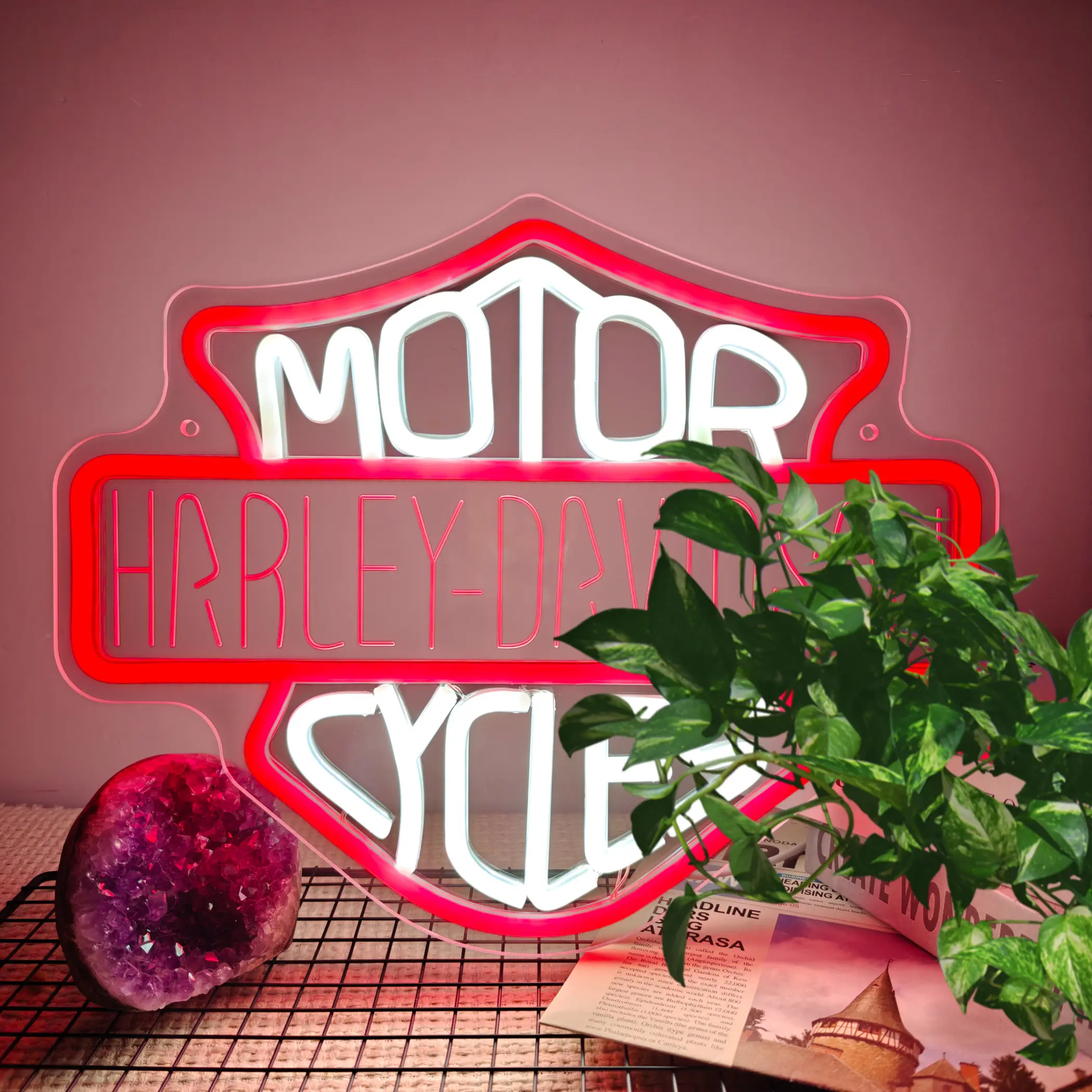 DavidS0N Motorcycle Neon Sign, LED Neon Light Wall Decor USB Powered Motorcycle Wall Art for Garage Bar Man Cave, Biker Room Decor Neon Sign Motorcycle Gifts for Men