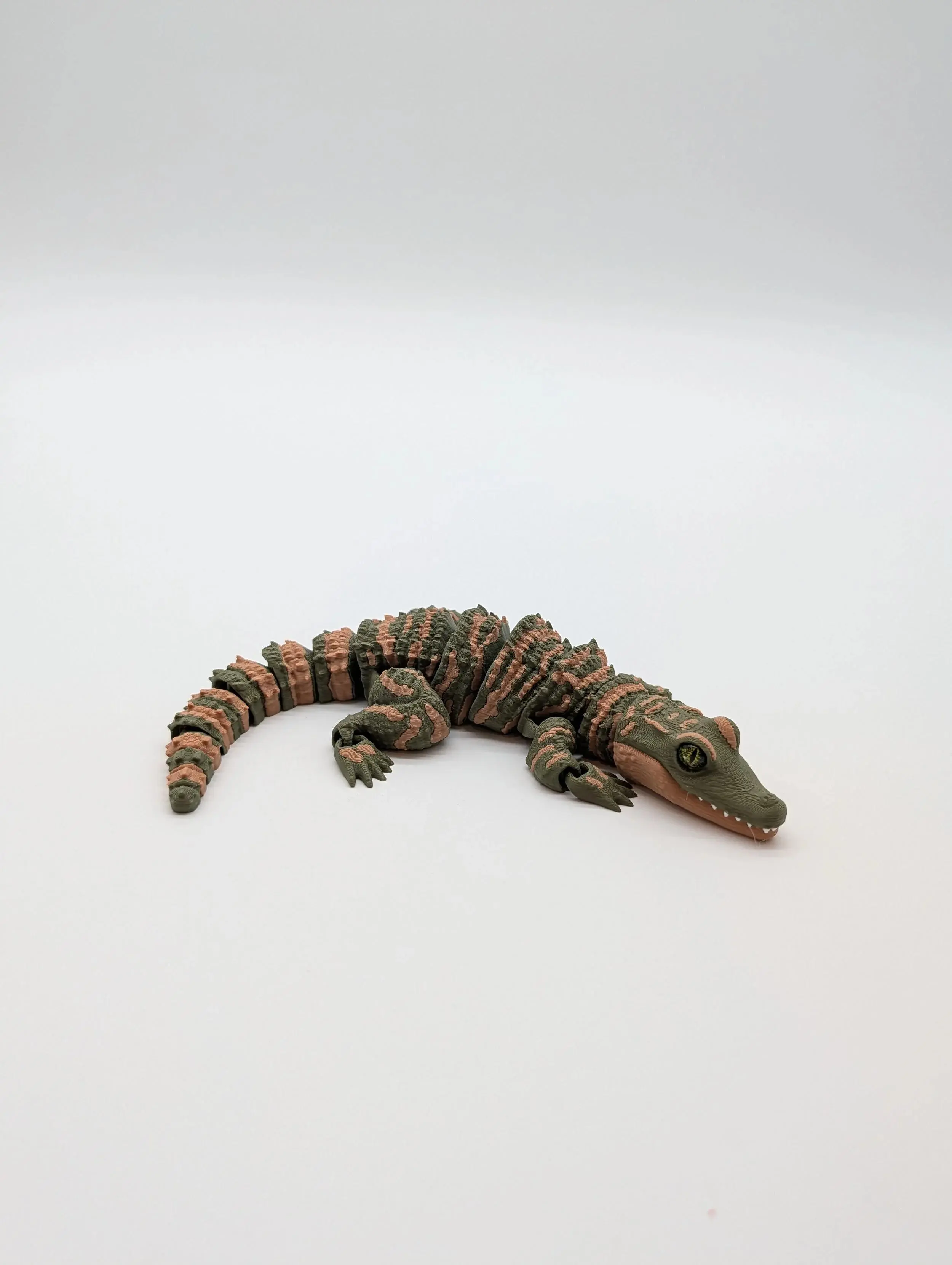 Baby Alligator