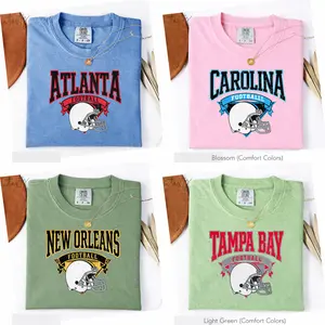 Comfort Colors Pro Football NNFC South Vintage Football T-Shirt, Hometown Teams Tee, Retro Throwback Tee, Atlanta, Carolina, New Orleans, Tampa Bay