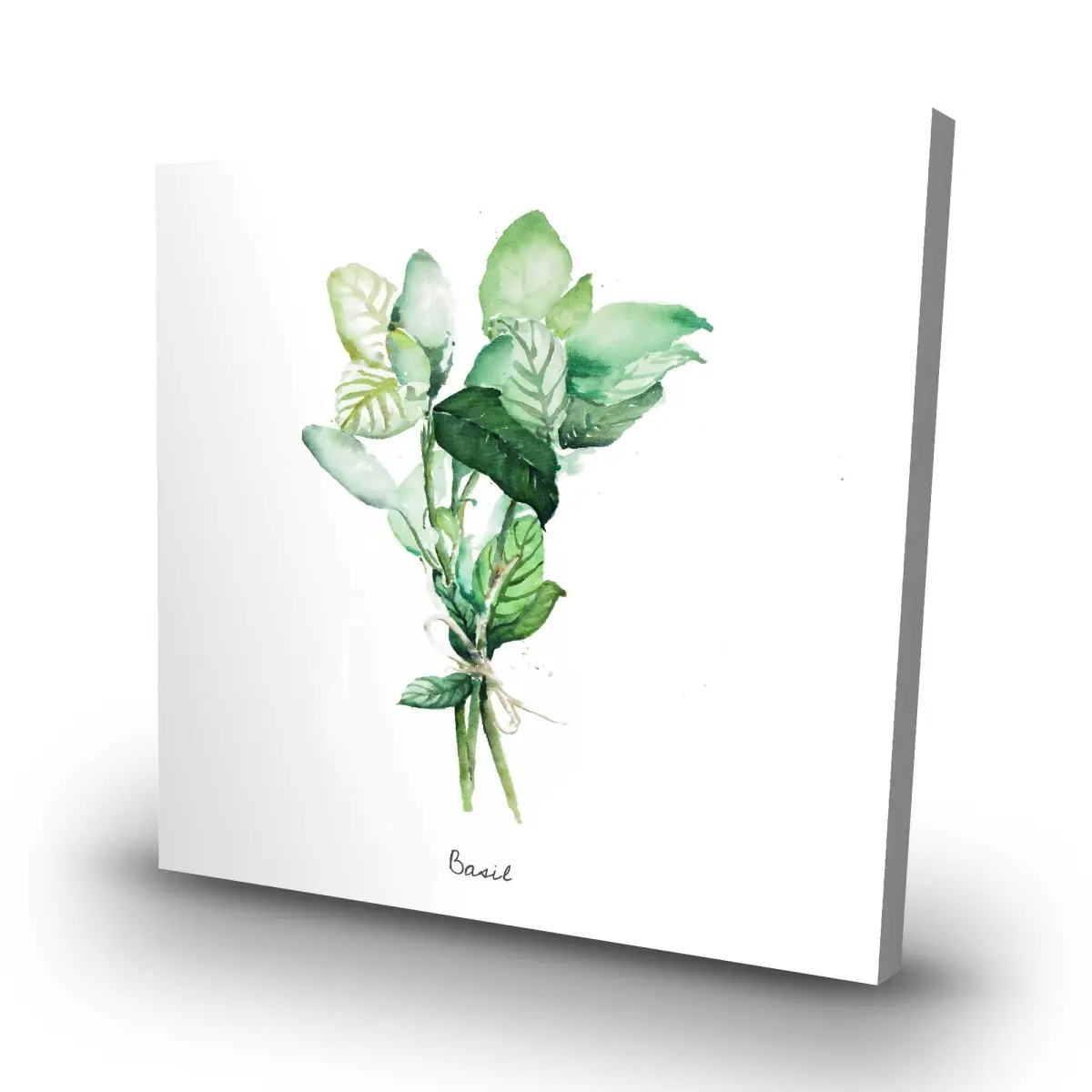 212 MAIN Tied Up Basil Leaves Bundle Nature Wall Photo Print - 32x32 in Artistic Farmhouse Modern Home Decor, Gift-Worthy Room Artwork for Mother's Day Home Supplies Posters & Prints, Decoration
