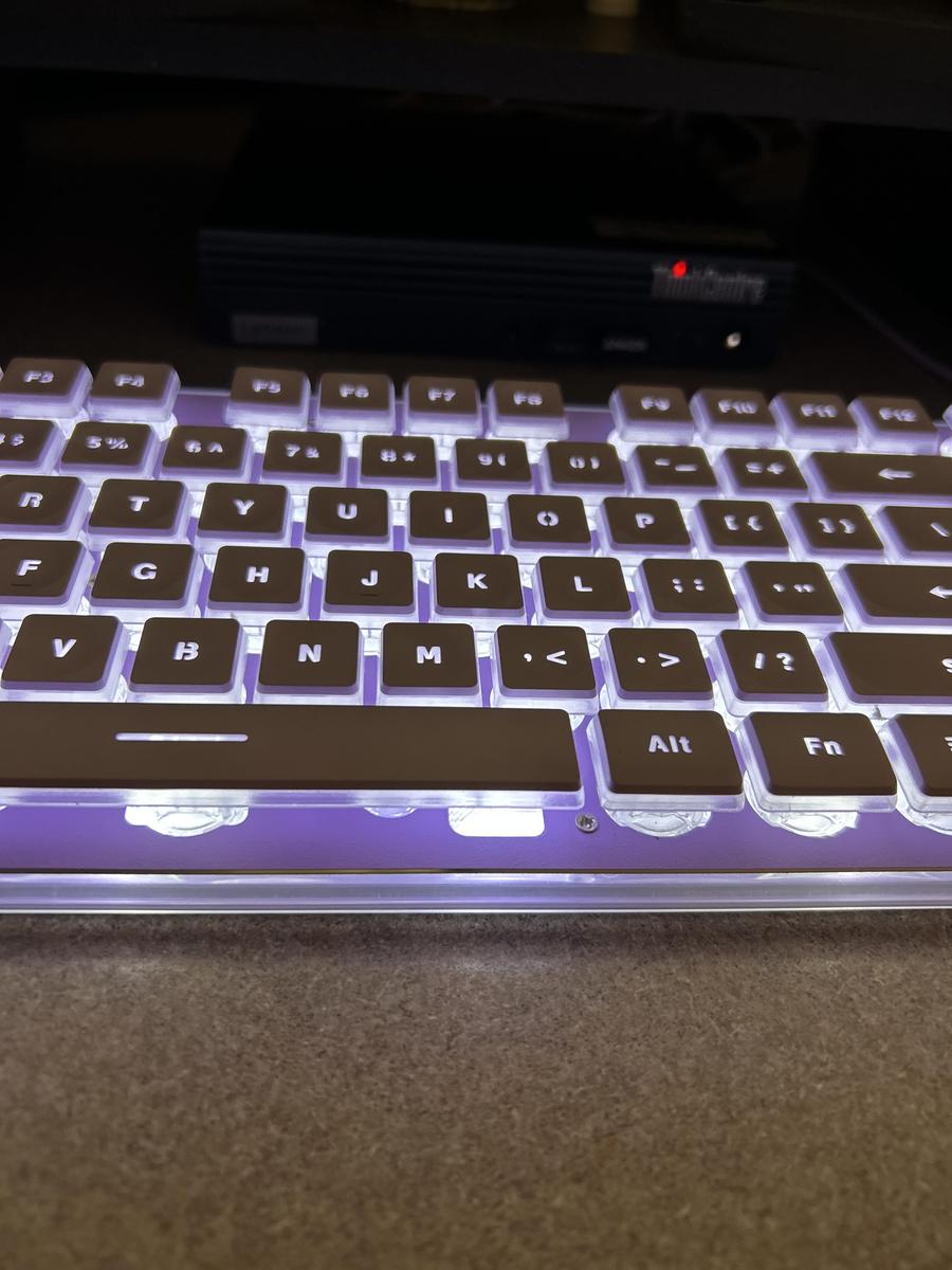 Item: Purple, 1 Count