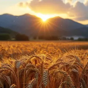 background preload poster image 