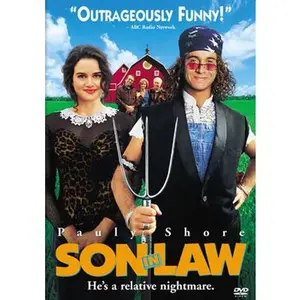 USED-Son-in-Law (DVD)