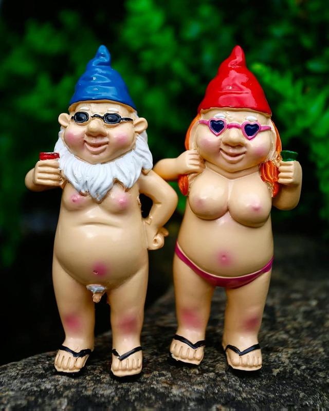 2Pcs Garden Gnomes Rude and Playful Resin Dwarf Statues for Indoor or Outdoor Lawn Decor Perfect for Novelty Gifts and Adding Humor to Your Garden