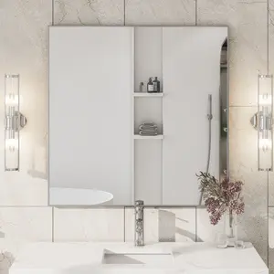 Eviva Vista 30" x 30" Square Brushed Nickel Metal Framed Mirror