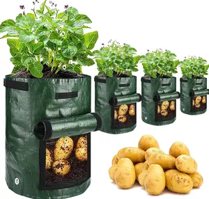 4 Pack 10 Gallon Potato Grow Bags with Harvest Flap & Handles, Breathable Fabric Planter Pots for Potatoes Tomatoes Onions Carrots Fruits & Vegetables, Green
