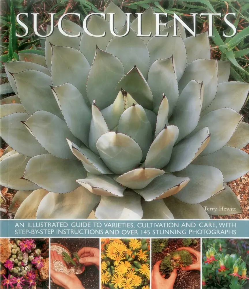 USED Book - Succulents: An Illustrated Guide to Varieties, Cultivation and Care, with Step-By-Step Instructions and Over 145 Stunning Photographs by Hewitt, Terry (Paperback) - english