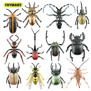 TOYMANY 12PCS Realistic Insect & Beetle Figurines Educational Bug Toy Set for Kids Toddlers with Ladybug Mantis Stag Beetle Scarab - Solid Plastic animal figure toy figure Collectibles