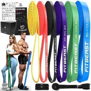 FITBEAST Resistant Band Pack - 5-Pack Resistance Bands for Workouts - 40-170LBS - Includes Exercise Guide & Carry Bag