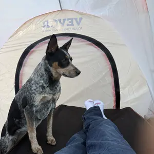 【fathersdaygift】VEVOR Truck Bed Tent, Various specifications, Pickup Truck Tent with Rain Layer and Carry Bag, Waterproof PU2000mm Double Layer Truck Tent, Accommodate 2-3 Person, for Camping Traveling Outdoor Activities