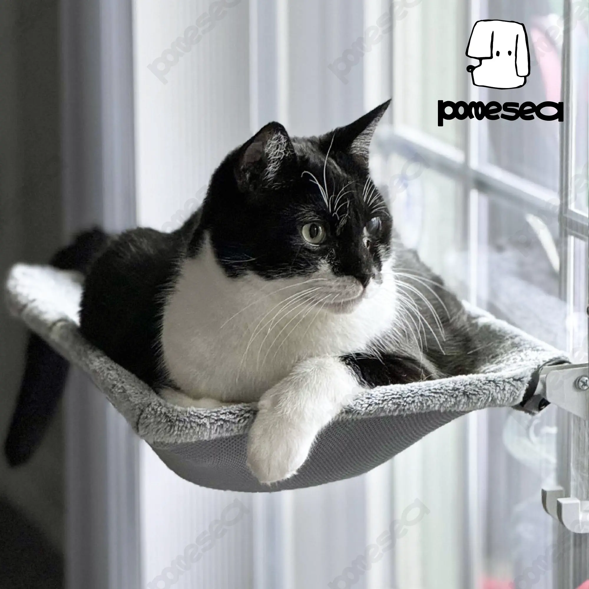POMESEA Sunbathing Window Perch for Large Cats, Glow in The Dark Cat Window Hammock with Hook Design, Easy to Assemble, Foldable Window Seat for Cats