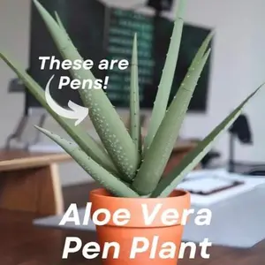 3D printed aloe vera pen plant with magnetic base