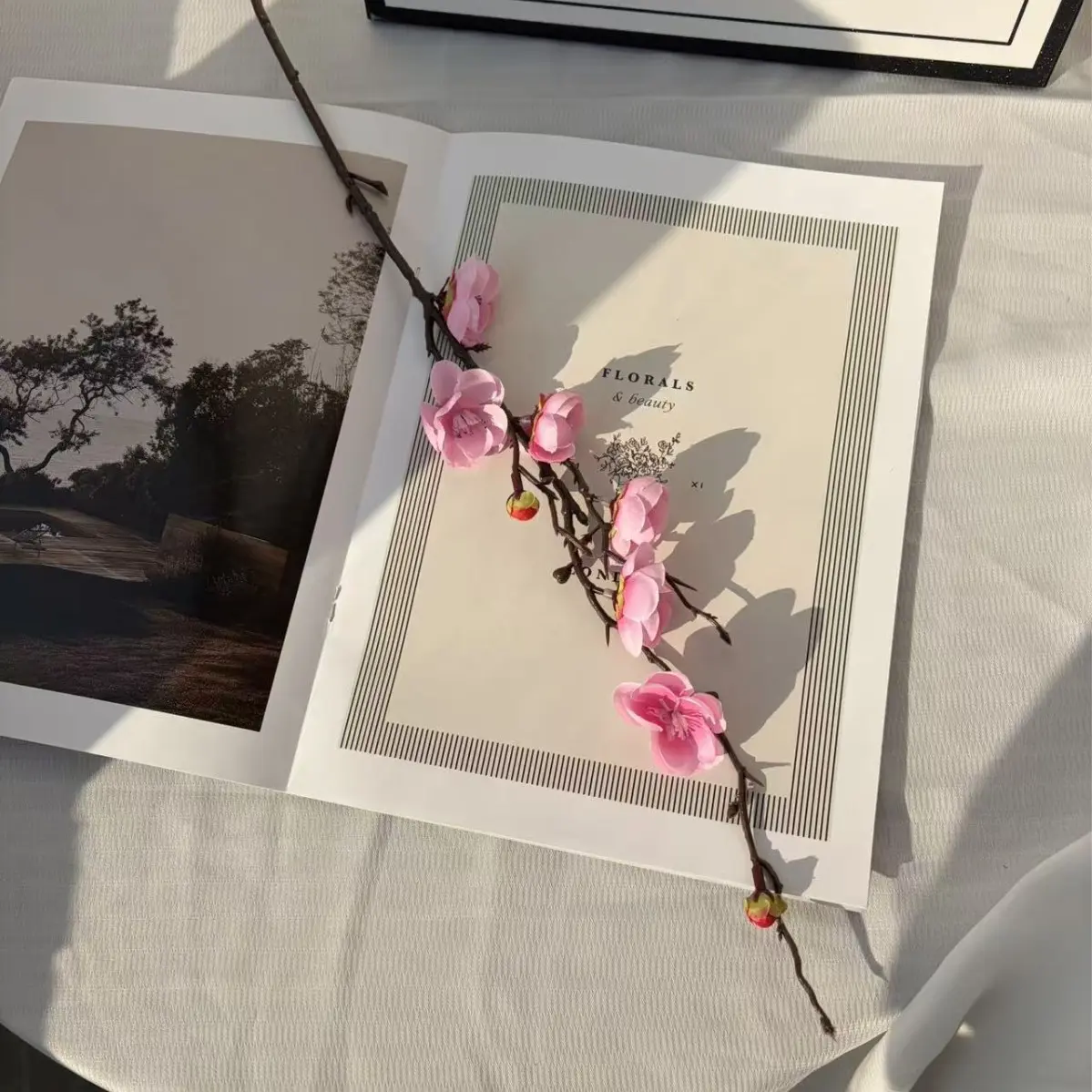 Pink Plum Blossom of Wish