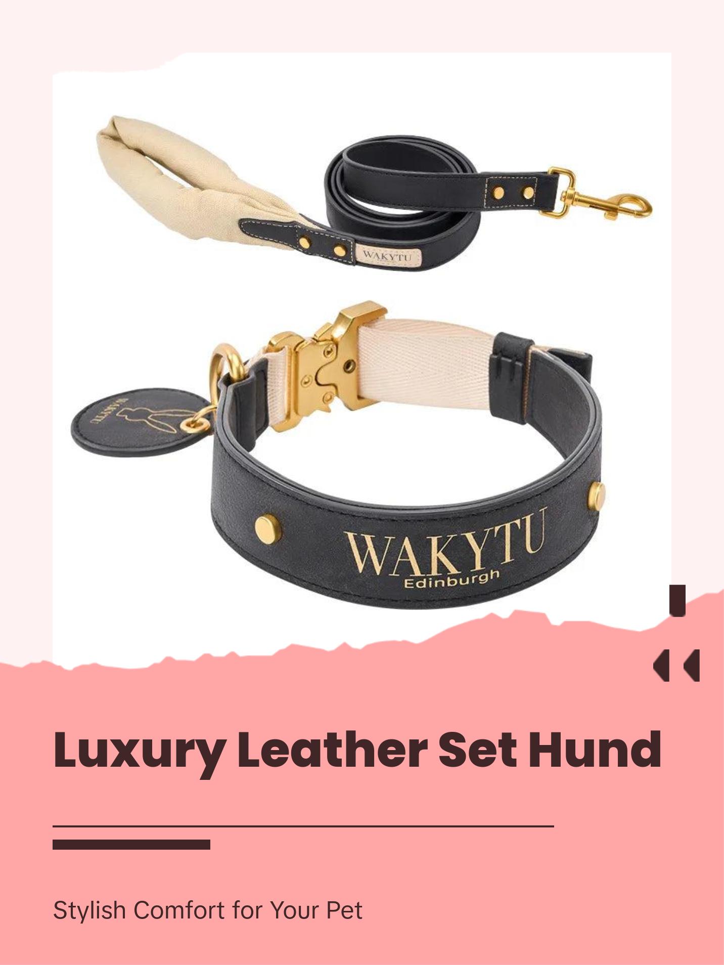 Luxury Leather Dog Collar & Leash with Padded Handle