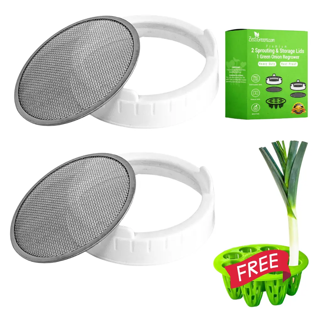 ZESTIGREENS 3-Piece Sprouting Lids & Green Onion Regrower Set - Food-Grade Reusable Stainless Steel Mesh Lids for Wide Mouth Mason Jars - Sprouter Kit for Broccoli, Alfalfa, Mung Beans Containers Kitchen