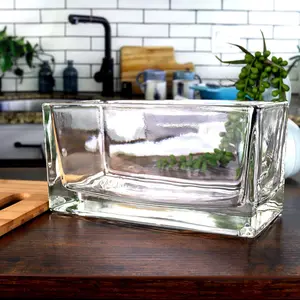 Rectangular Glass Vase | Thick, High-Quality Decorative Planter for Tillandsia Air Plants, Succulents, Water Plants, Fairy Garden and More