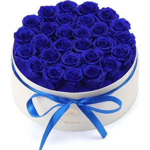 Valentines Day  Roses Gifts for Her,28pcs BlueForever Preserved Roses in Round  Box,Valentines Day Delivery  Gifts-Roses Gifts for Women,Mom.