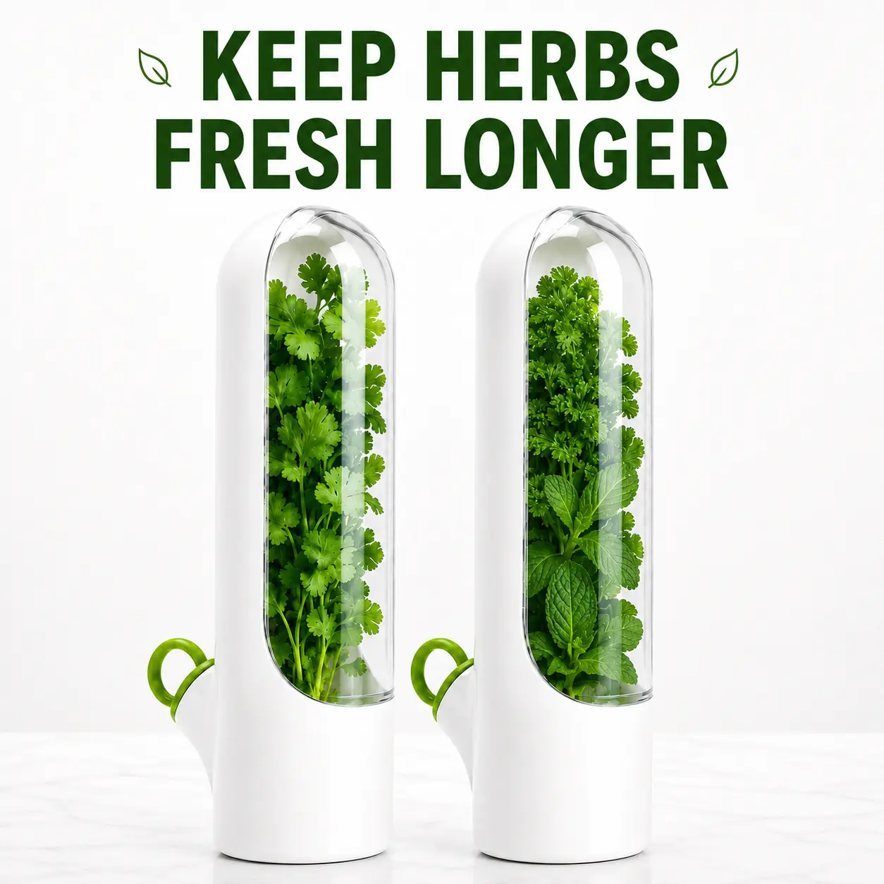 MIUVA Herb Saver & Vegetable Storage for Refrigerator, Fresh Herb Keeper Container with Clear Protective Cover, Water Reservoir Pod for Cilantro, Parsley, Mint, Asparagus, Rosemary, Dill, White / Black Airtight