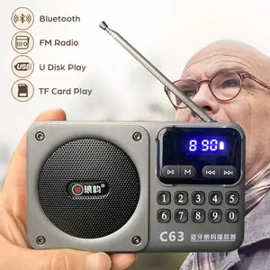 Rechargeable Portable FM Radio Type C Charging Wireless Speakers Support USB TF Card MP3 Music Player with FM Radio Receiver